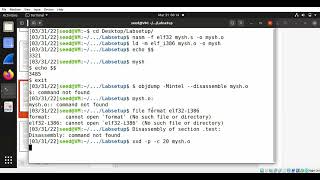 Seed Lab shellcode