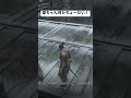 ミブ風船割ると short sekiro