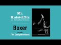 The Gaslight Anthem - Boxer ( Cover by Mr. Knistelfitz )