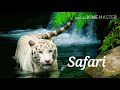 DIZARO - Safari _ (Music Vlog No Copyright) Free Music Vlog No Copyright