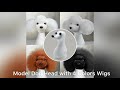 model dog head wig grooming demonstrations opawz model dog u0026 wigs tutorial