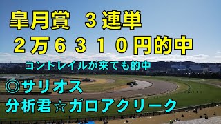 ２０２０年　皐月賞予想【ぜんこうの競馬予想　週末版　あの騎手でも狙ってみたい馬います】