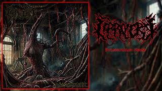 Coprolepsy - Evisceration Stack [Full EP] (Slamming Brutal Death Metal)