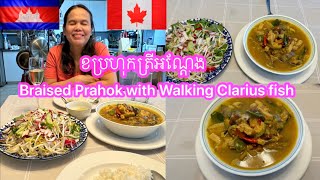 Braised Prahok with Walking Clarius fish # របៀបខប្រហុកត្រីអណ្ដែង ឆ្ងាញ់គ្មានខ្លិនឆ្អាប🇰🇭🇨🇦