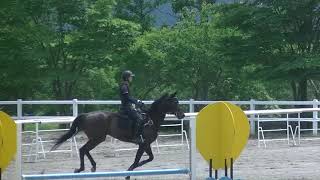 令和3年度    関東学生馬術大会    フレンドシップ競技    三年次　丸山翔也　アドマイヤデライト