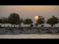 discover abu dhabi