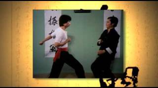 Wing Chun: The Legacy of Ip Man