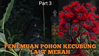 inilah gua tempat tumbuhny kayu kecubung laut merah