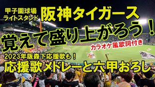 【甲子園ライトスタンドの雰囲気を動画で】ARE直前の選手応援歌（森下応援歌入り）と六甲おろし。臨場感が違います【2023年9月12日】#阪神タイガース選手応援歌