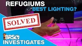 What does it take to light a refugium effectively? | BRStv Investigates