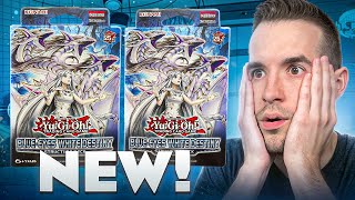 NEW Blue-Eyes White Destiny Structure Deck DISPLAY Opening! QCRs In Decks??