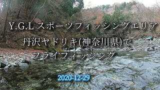 YGL丹沢ヤドリキ(神奈川)/夫婦でフライフィッシング/2020-12-29