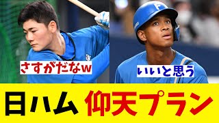 日本ハム　仰天プランを明かす！！！【野球情報】【2ch 5ch】【なんJ なんG反応】【野球スレ】