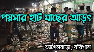 পয়সার হাট মাছের আড়ৎ বরিশাল || Poisher Hat Macher Arot,  Barishal