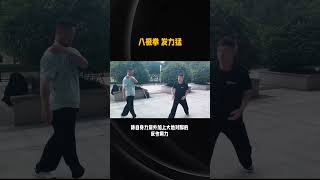 八極拳出拳時，會反向拉拳，提供反向動量；跺腳發力，除自身力量外加上大地對腳的反作用力，兩次力量疊到一次上；拳不直行，上勾拳多；助跑發力。這種發力，達到力量最大。 #kungfu  #八極拳