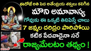 ఈరోజే అతి పెద్ద మౌని అమావాస్య గోవుకు ఇది తినిపిస్తే చాలు కటిక పేదవాడైనా సరే రాజ్యమేలతాడు! | Amavasya