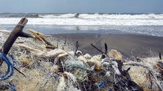 Plastic Pollution A Global Crisis