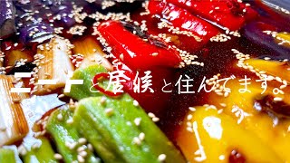 夏野菜の焼き浸しが美味すぎる。。。