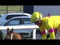 20241006 hollywoodbets greyville race 7 won by care forgot