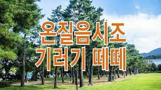 온질음시조 기러기 떼떼 #서상수#온질음시조