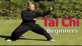 Tai chi chuan for beginners - Taiji Canon Fist Chen Style 1 Part 3