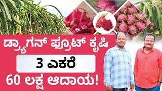 Dragon Fruit Farming in Kannada - Why Dragon Fruit has Many Benefits? | Abhishek Ramappa