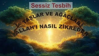 Sessiz Tesbih: Taşlar ve Ağaçlar Allah’ı Nasıl Zikreder?