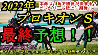 【最終予想】2022プロキオンステークス！本命馬は1コーナーで勝負が決まるピンかパー馬も実力と鞍上に期待！