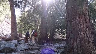 SOUTHBAY HIKING CLUB - CEDER GLEN - San Gabriel Mtn - 04-30-2023