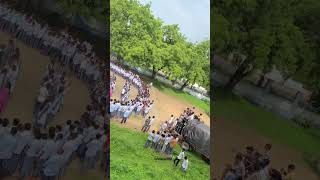 Sf high school GS winning celebration 🥳 full enjoy #chotaudepur ￼