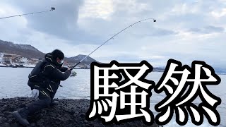 【北海道】【釣り】爆釣磯に騒然となる！！