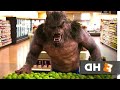 Goosebumps (6/10) movie clip - werewolf on aisle 2 (2015) HD #movies #hollywood