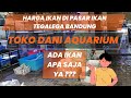 HARGA IKAN DI PASAR IKAN TOKO DANI AQUARIUM BANDUNG 🔥🔥