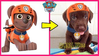 Paw Patrol Characters In Real Life 👉@WANAPlus