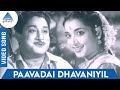 Nichaya Thaamboolam Tamil Movie Songs | Paavadai Dhavaniyil Video Song | TM Soundararajan | MSV TKR