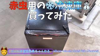 【ニーハオ宮田】金魚ちゃんねる_『赤虫用の冷凍庫買ってみた』