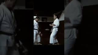 OLD SCHOOL KARATE😍 #karatetechniques #wkf #wkfkarate #karate #oldschool #old #kumite #fighters #oss