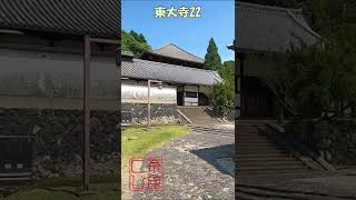 【東大寺】東大寺22　二月堂を行く　裏参道から二月堂　東大寺で最も美しい風景　東大寺のすべてがわかる　＃Shorts 　奈良とびっきり観光ガイド東大寺　【奈良観光】