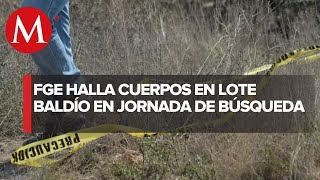 Hallan nueve cuerpos dentro de lotes baldíos en Caborca, Sonora