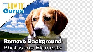 How You Can Remove a Background or Make it Transparent with Photoshop Elements