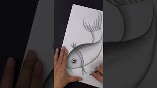 pencil drawing, fish drawing #ytshorts #short #shorts #ytshorts