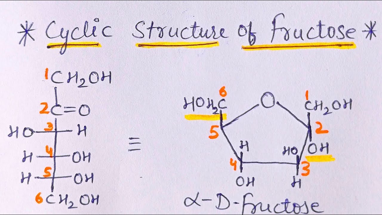 Fructose Structure Diagram