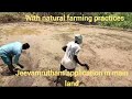 paddy progress with hdfc bank parivartan cultivating greener future