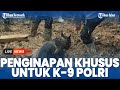 CARA Polisi Manjakan Anjing Pelacak Selama 10 Hari Cari Korban Gempa Cianjur