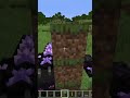 【マインクラフト】討伐されたエンダードラゴンの作り方 shorts