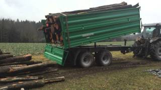 Reisch RTD 80 beim Holz abkippen