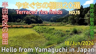 やまぐちの棚田20選【NO,15　半田地区の棚田 - 後編】美祢市　2024年06月18日