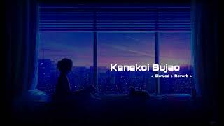 Kenekoi Bujao - Tanmoy Saikia ( Slowed + Reverb )