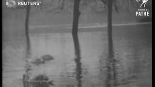 WEATHER: Flooding around the River Ouse (1930)