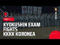 Egzamin na STOPNIE MISTRZOWSKIE - WALKI - Kielecki Klub Karate Kyokushin Koronea SOKYOKUSHIN